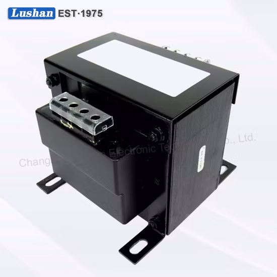 Transformador de potencia lineal de baja frecuencia de entrada 220V salida 48V 1A para aplicación doméstica